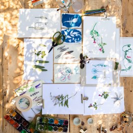 Herbarium – Illustration Workshop in Évora