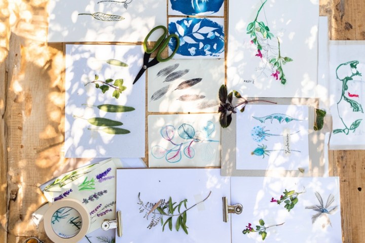 Herbarium – Illustration Workshop in Évora