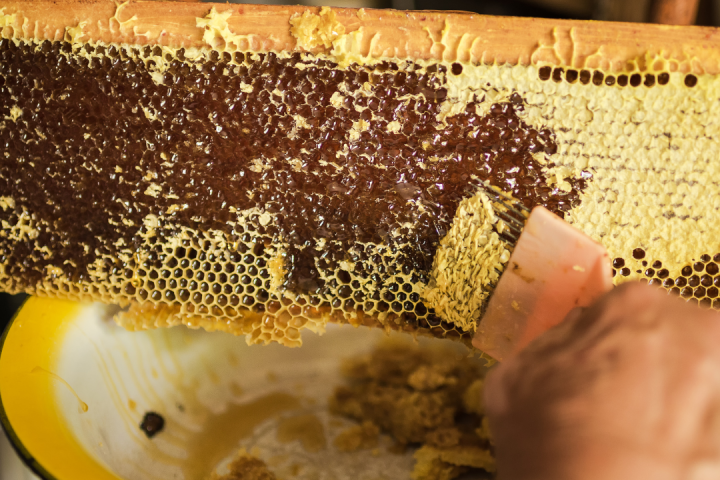 Azores Honey tour