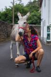 azores donkey tour