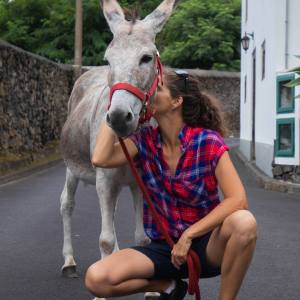 azores donkey tour