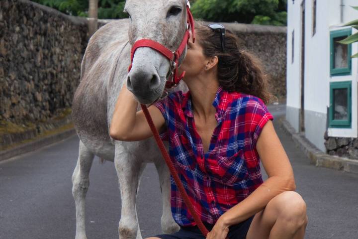 azores donkey tour