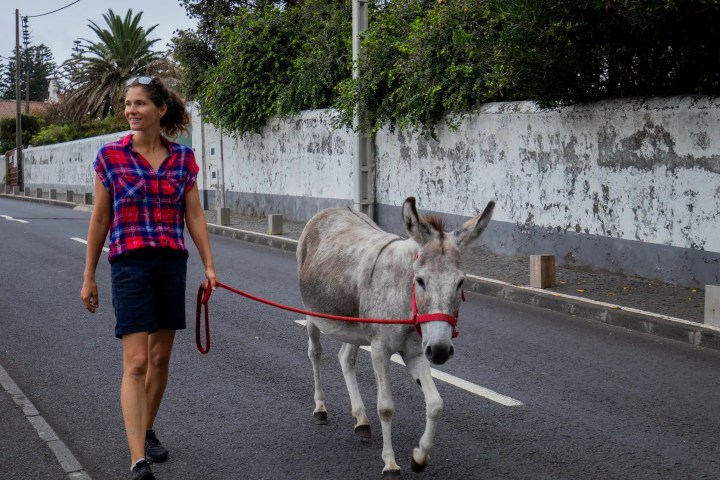 azores donkey tour