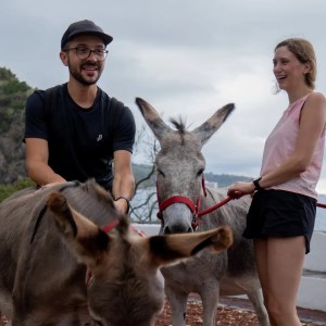 azores donkey tour