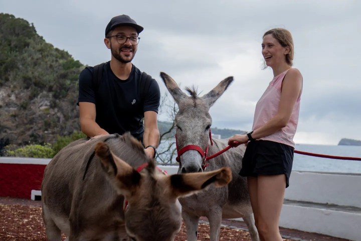 azores donkey tour