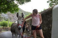 azores donkey tour