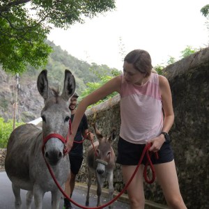 azores donkey tour