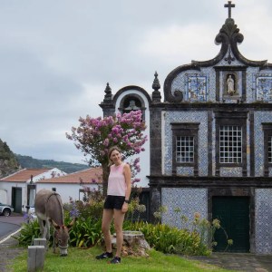 azores donkey tour
