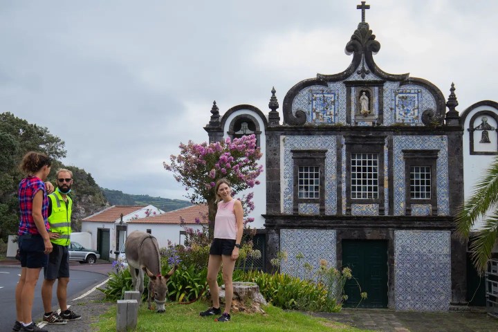 azores donkey tour