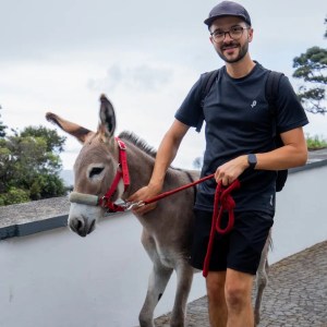 azores donkey tour