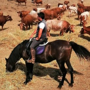 Horseback Riding Évora