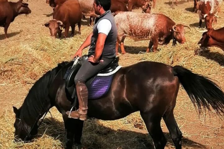 Horseback Riding Évora