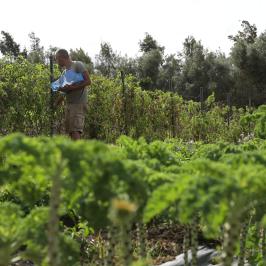 lagos farm to table experience