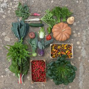 lagos farm to table experience