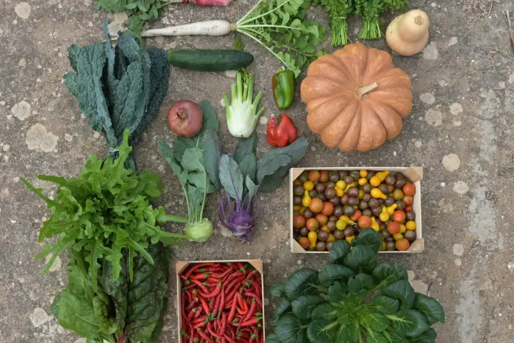 lagos farm to table experience