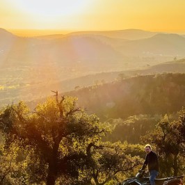 Loulé farm to table experience