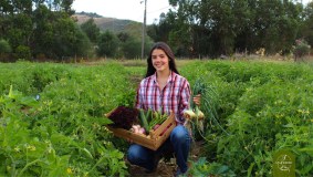 Loulé farm to table experience