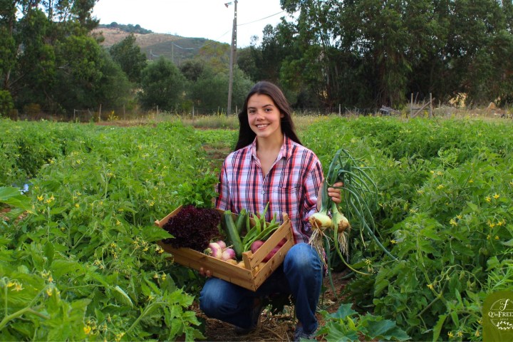 Loulé farm to table experience