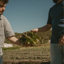 Loulé farm to table experience
