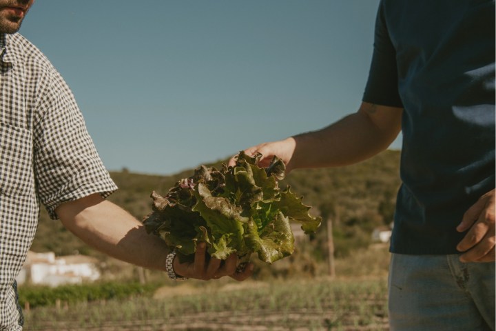 Loulé farm to table experience