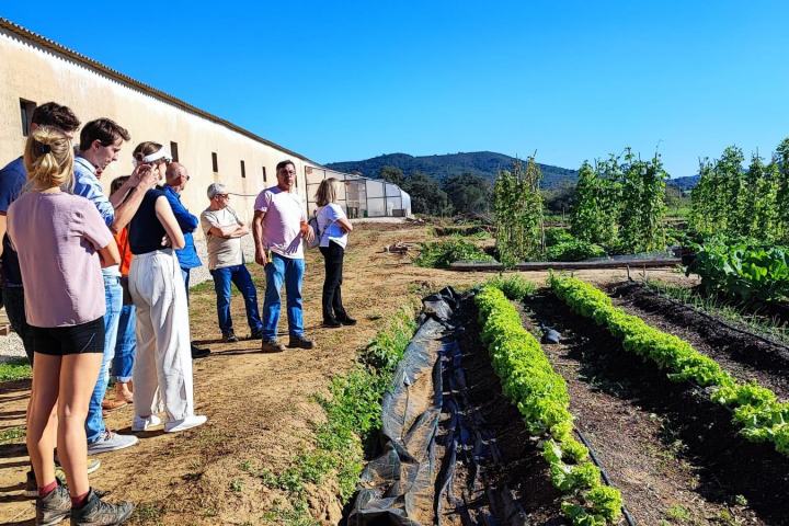 Loulé farm to table experience