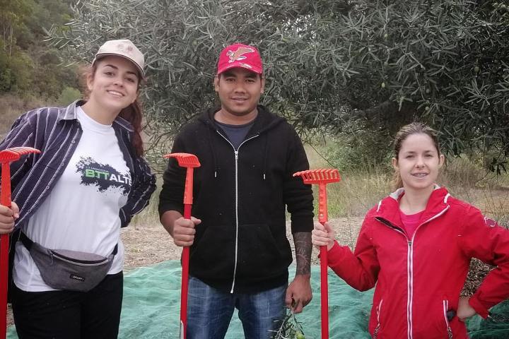 Loulé farm to table experience