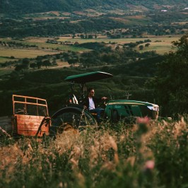 Loulé farm to table experience