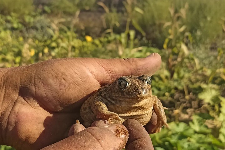 regenerative farm tour