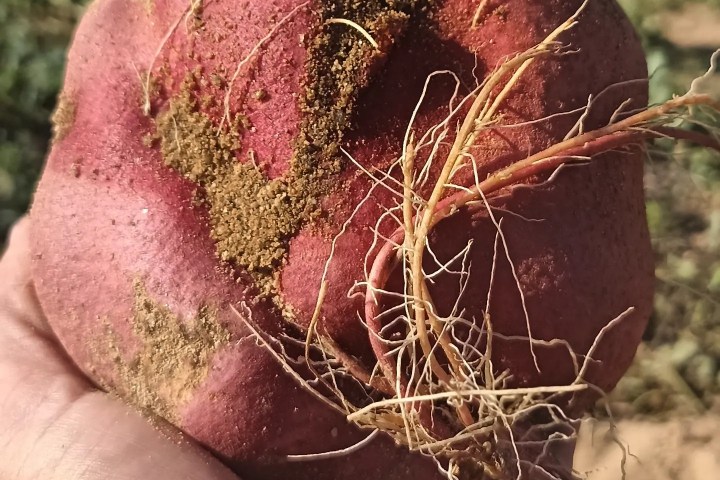 regenerative farm tour