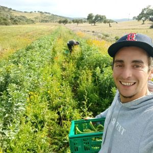 regenerative farm tour