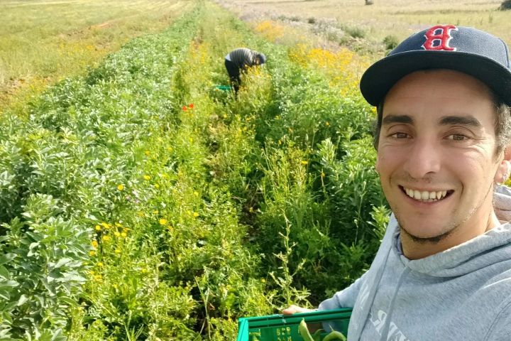 regenerative farm tour