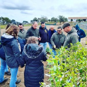 regenerative farm tour