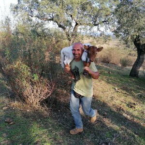 regenerative farm tour