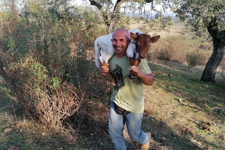 regenerative farm tour