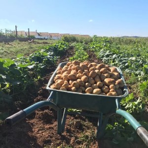 regenerative farm tour