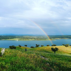 regenerative farm tour