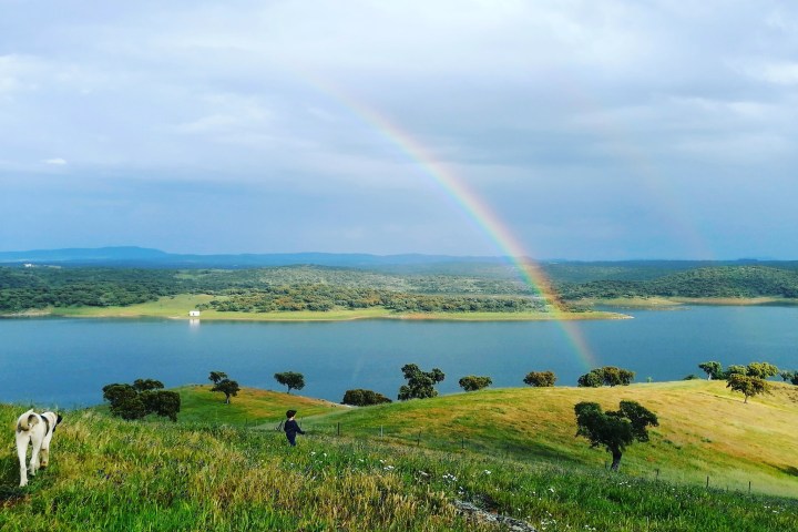 regenerative farm tour