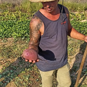 a person standing posing for the camera