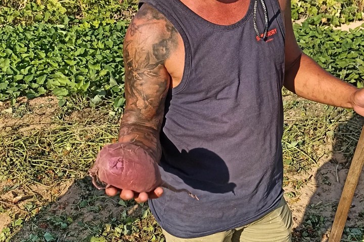 a person standing posing for the camera