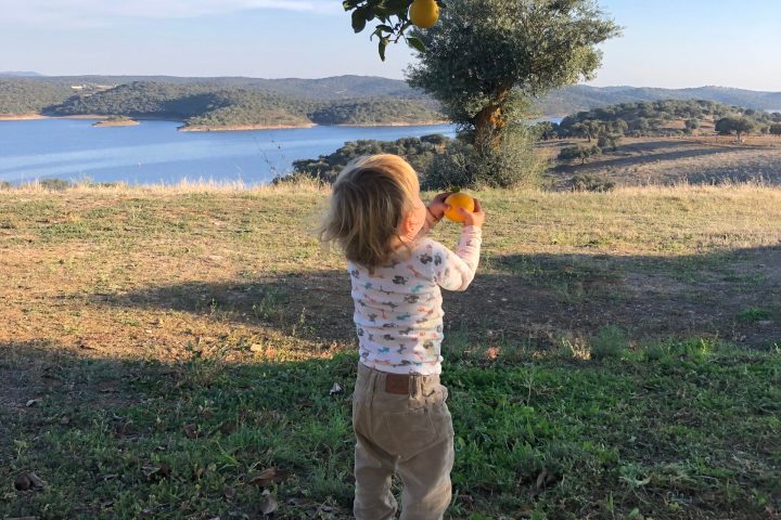 regenerative farm tour