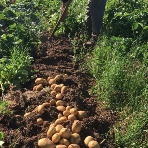 regenerative farm tour