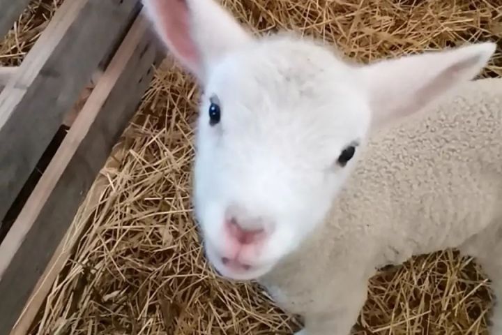 regenerative farm tour