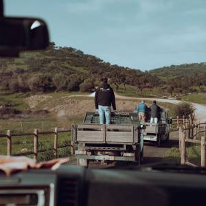 regenerative farm tour