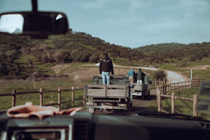 regenerative farm tour