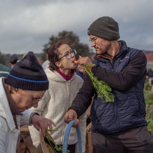 regenerative farm tour