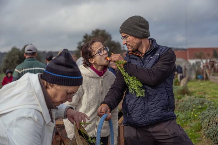 regenerative farm tour