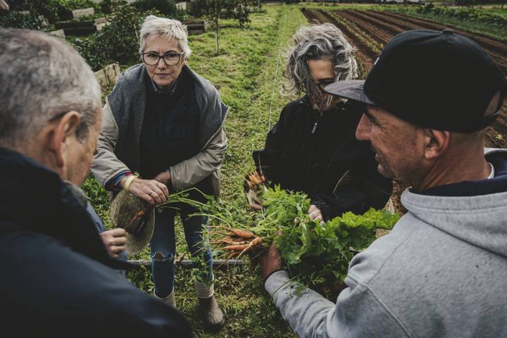 regenerative farm tour