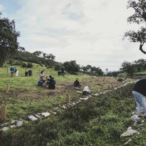 regenerative farm tour