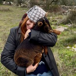 Walking with Goats & Cheese Experience