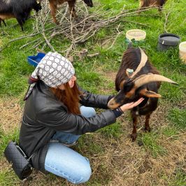 Walking with Goats & Cheese Experience